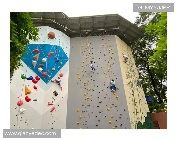 南京攀岩队攀岩意识创新高全力冲击全国顶尖水平